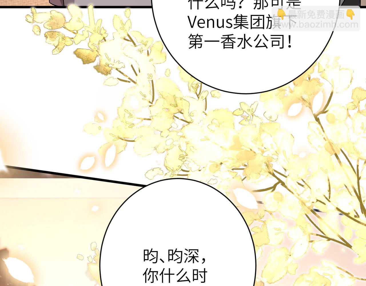 第164话 遗嘱84
