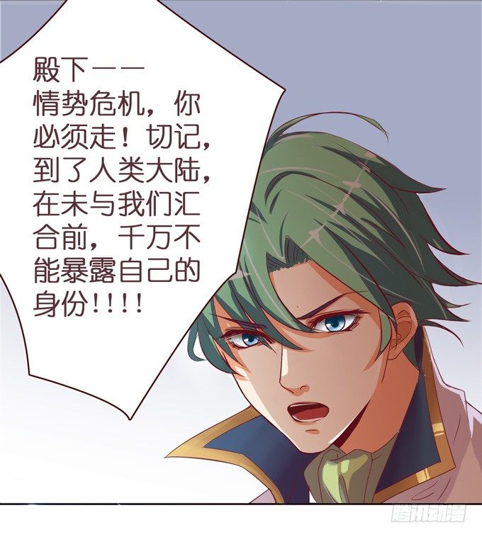 骑士的荣耀25