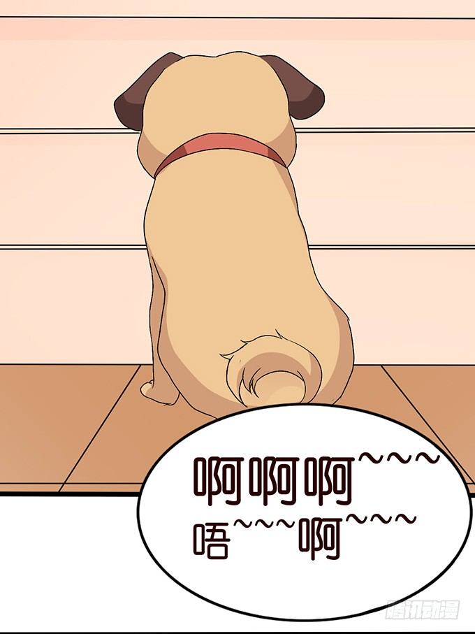 不要想奇怪的事哦17