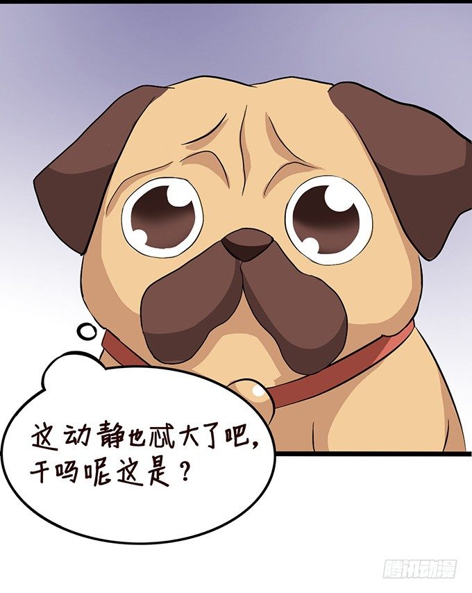 不要想奇怪的事哦18
