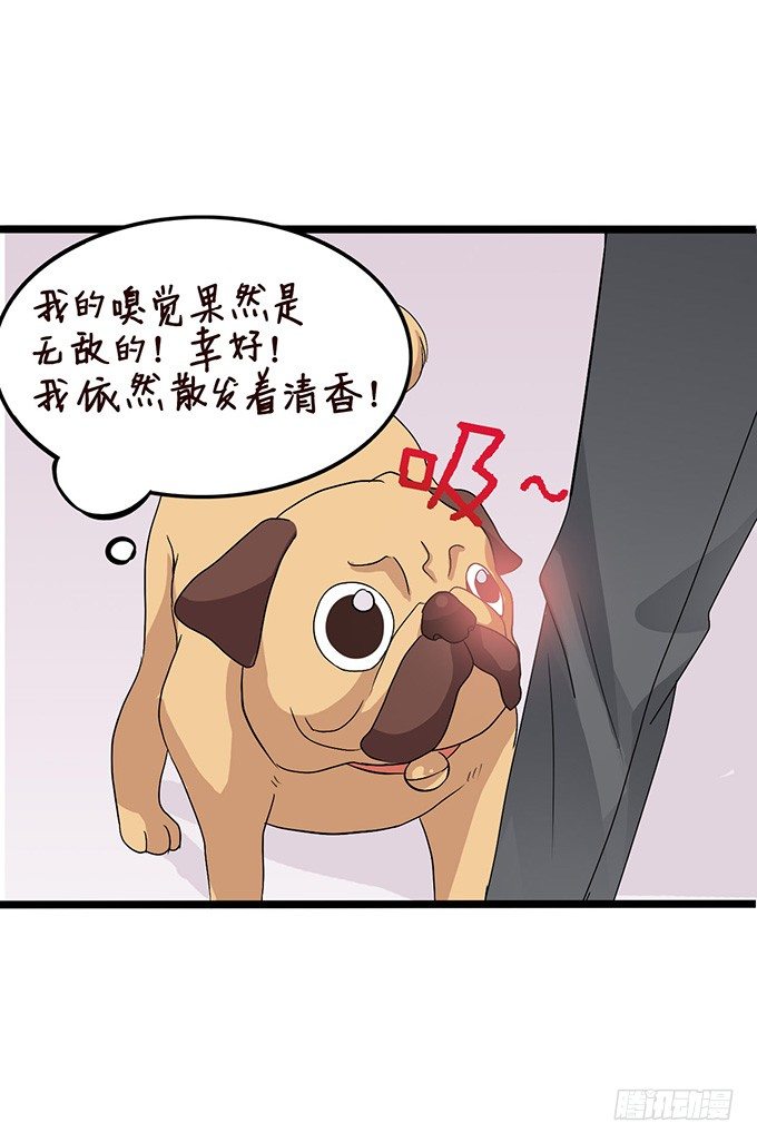 不要想奇怪的事哦37
