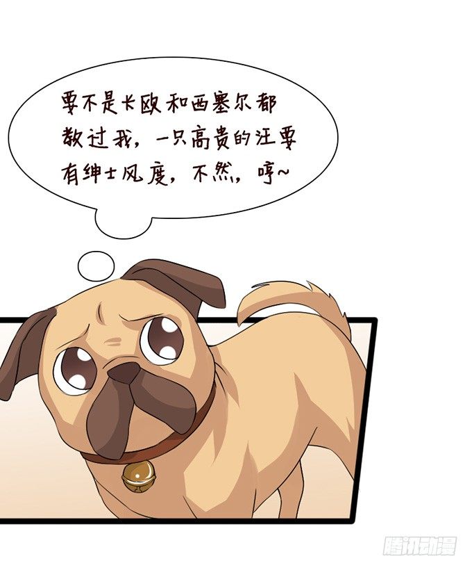 以爱之名的陷阱5