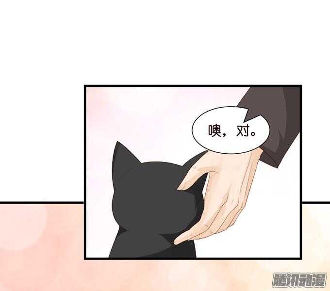 情敌的自我修养37