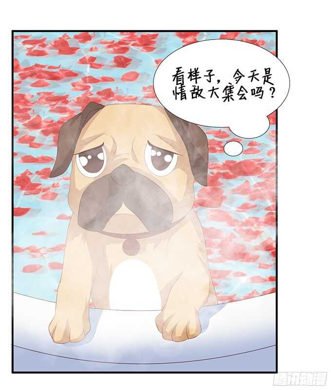 情敌大集会38