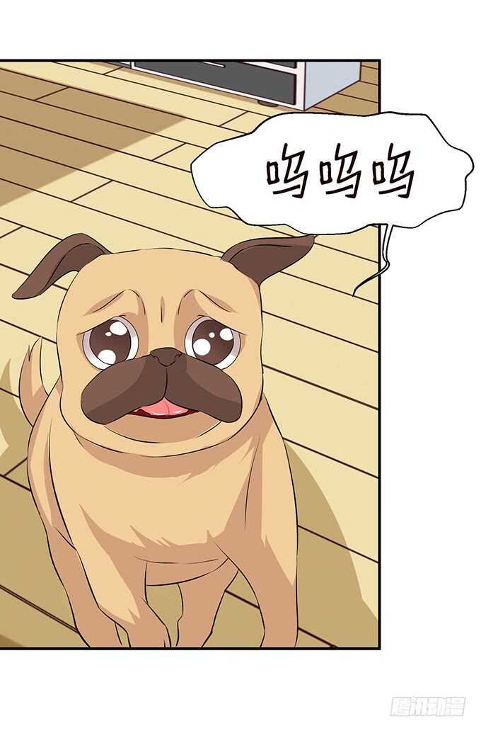 不是你们想的那样27