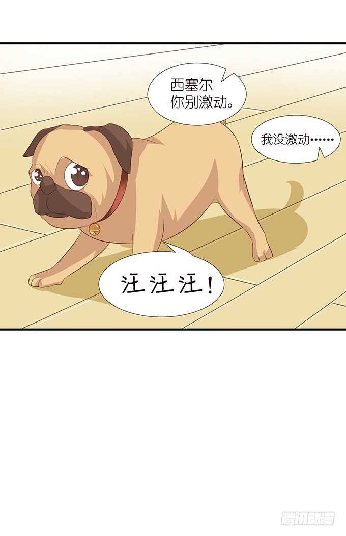 不是你们想的那样50