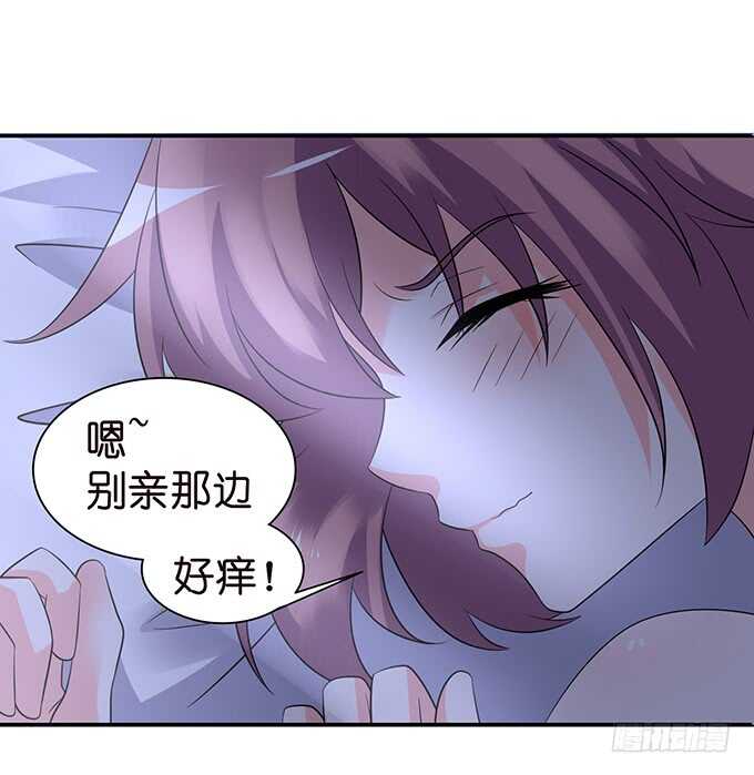 春风入梦来19