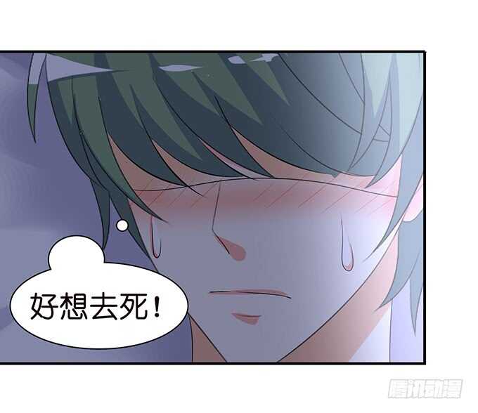 春风入梦来24