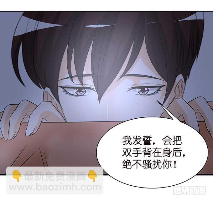 春风入梦来38