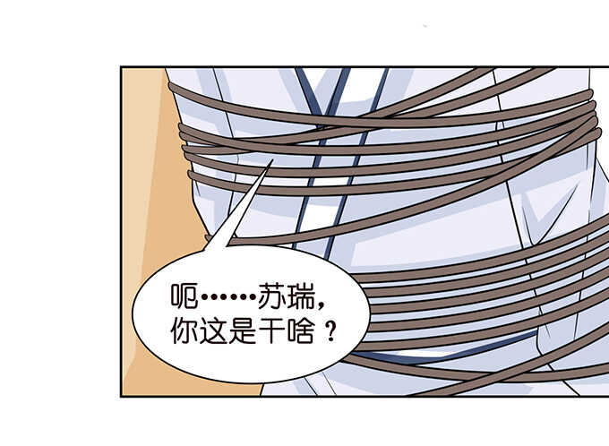 春风入梦来49