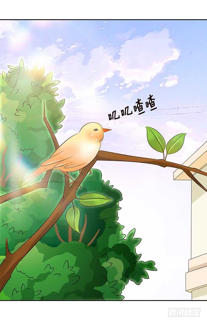 春风入梦来61