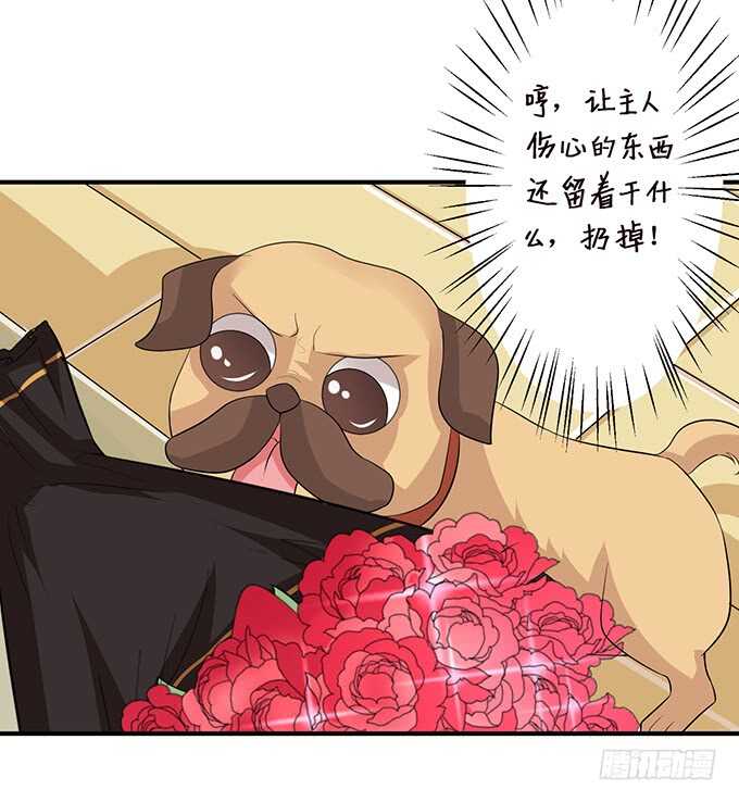 变心的王子？43