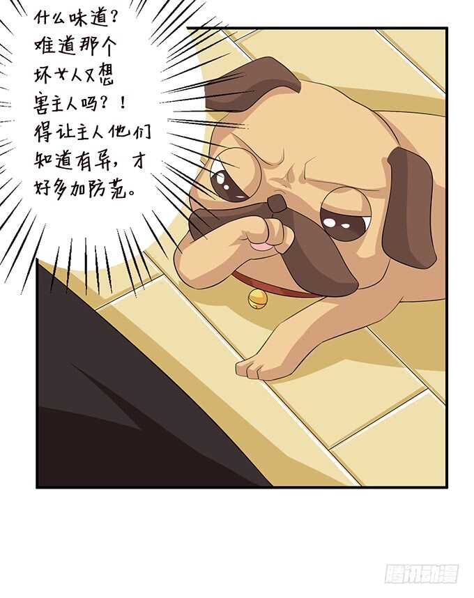 变心的王子？45