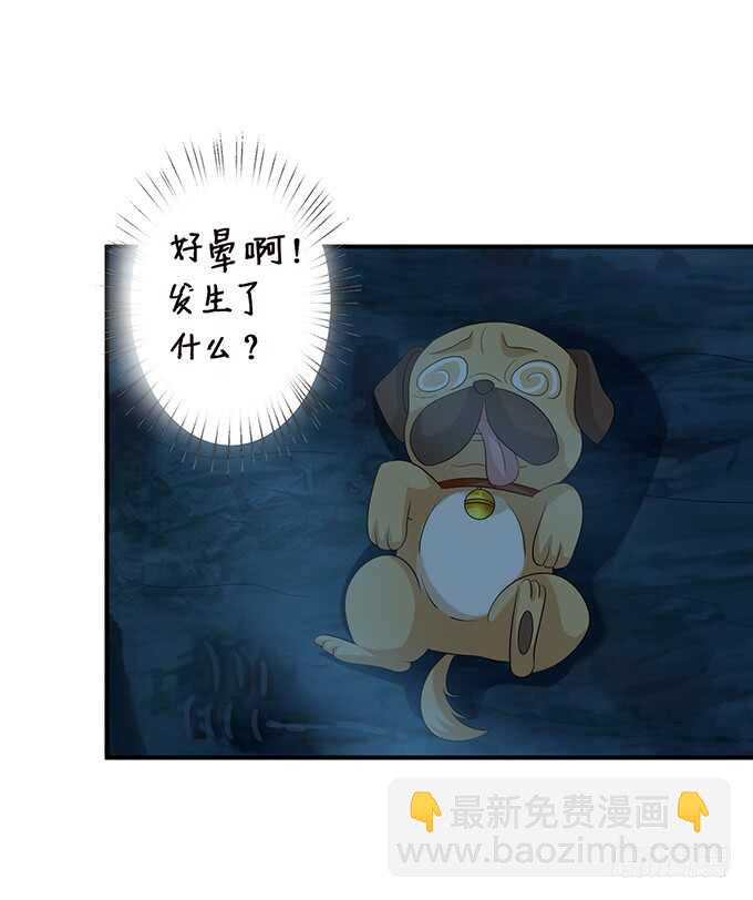 王子们的小甜心11