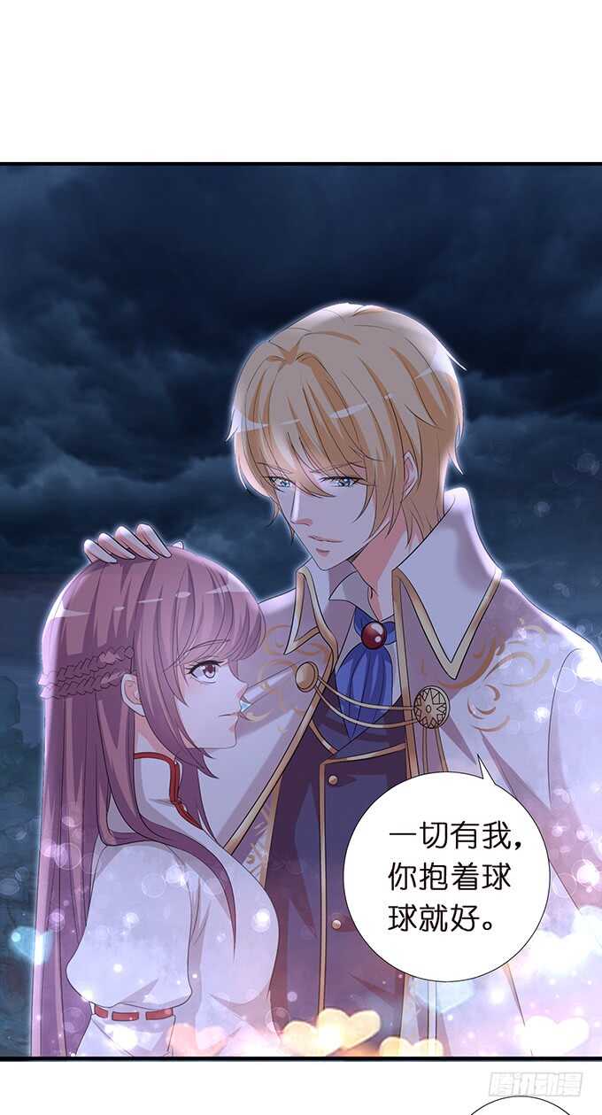 王子们的小甜心27