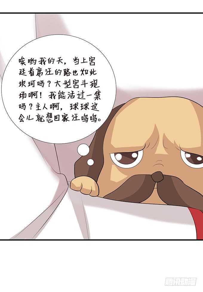 王子们的小甜心37