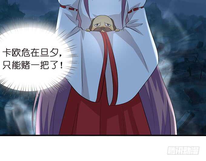 王子们的小甜心43
