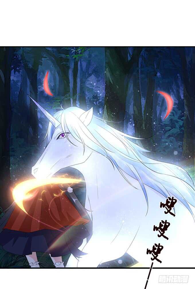 和西塞尔的第一次41