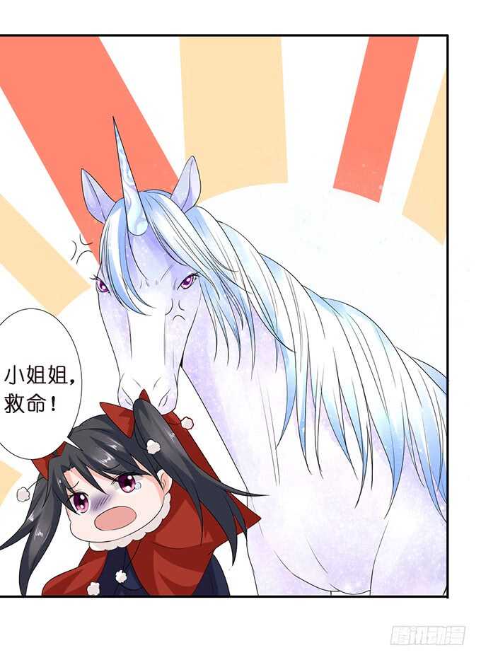 和西塞尔的第一次44