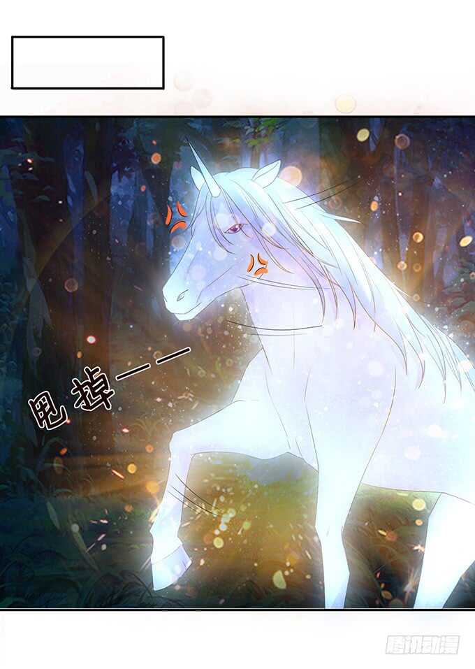 和西塞尔的第一次55