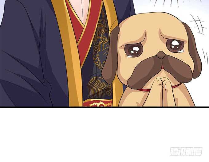 喜当爹！9