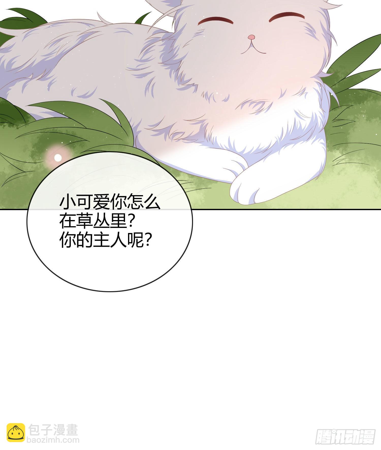 这是什么人间小可爱？！13