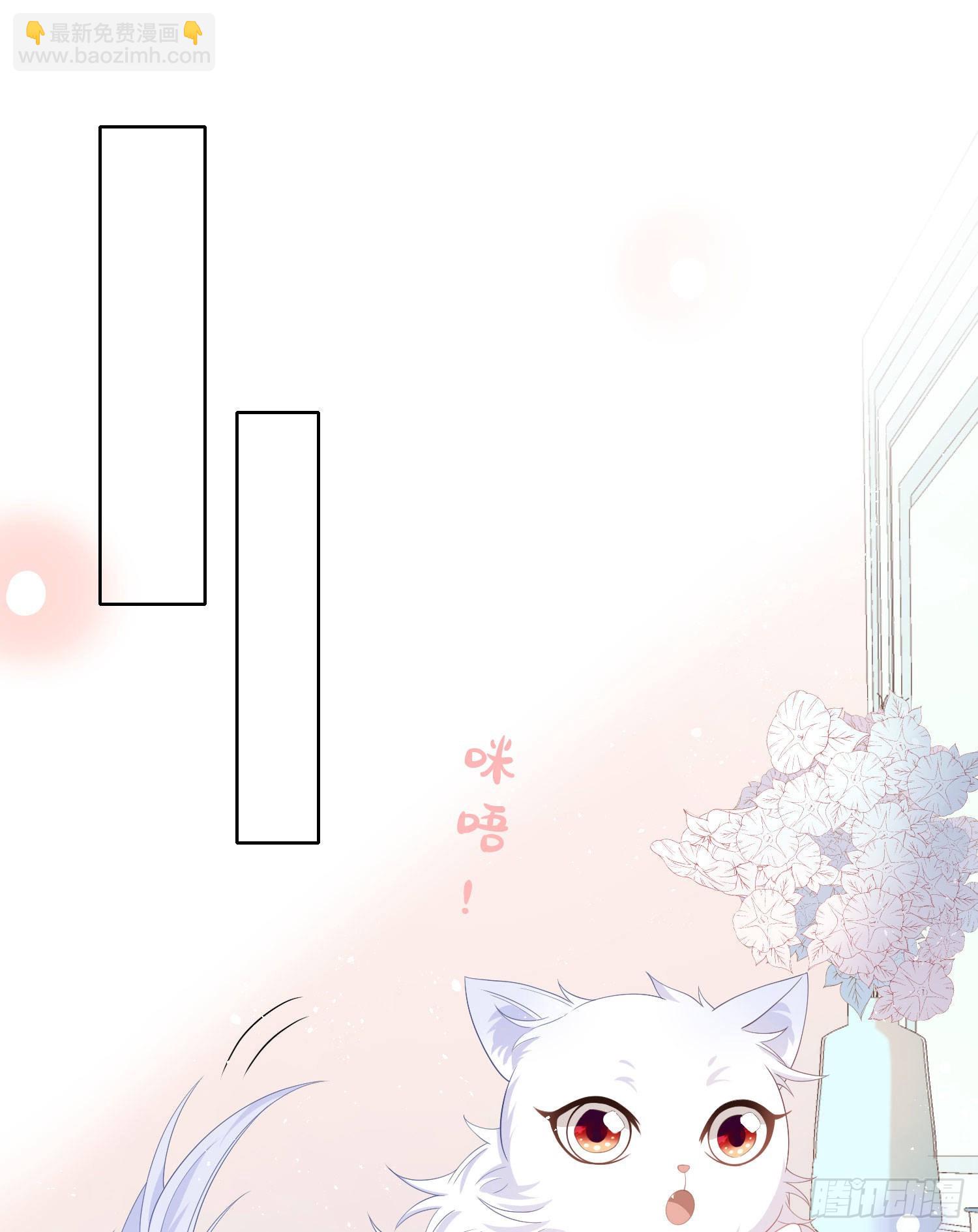 篮球队猛男集体落泪34