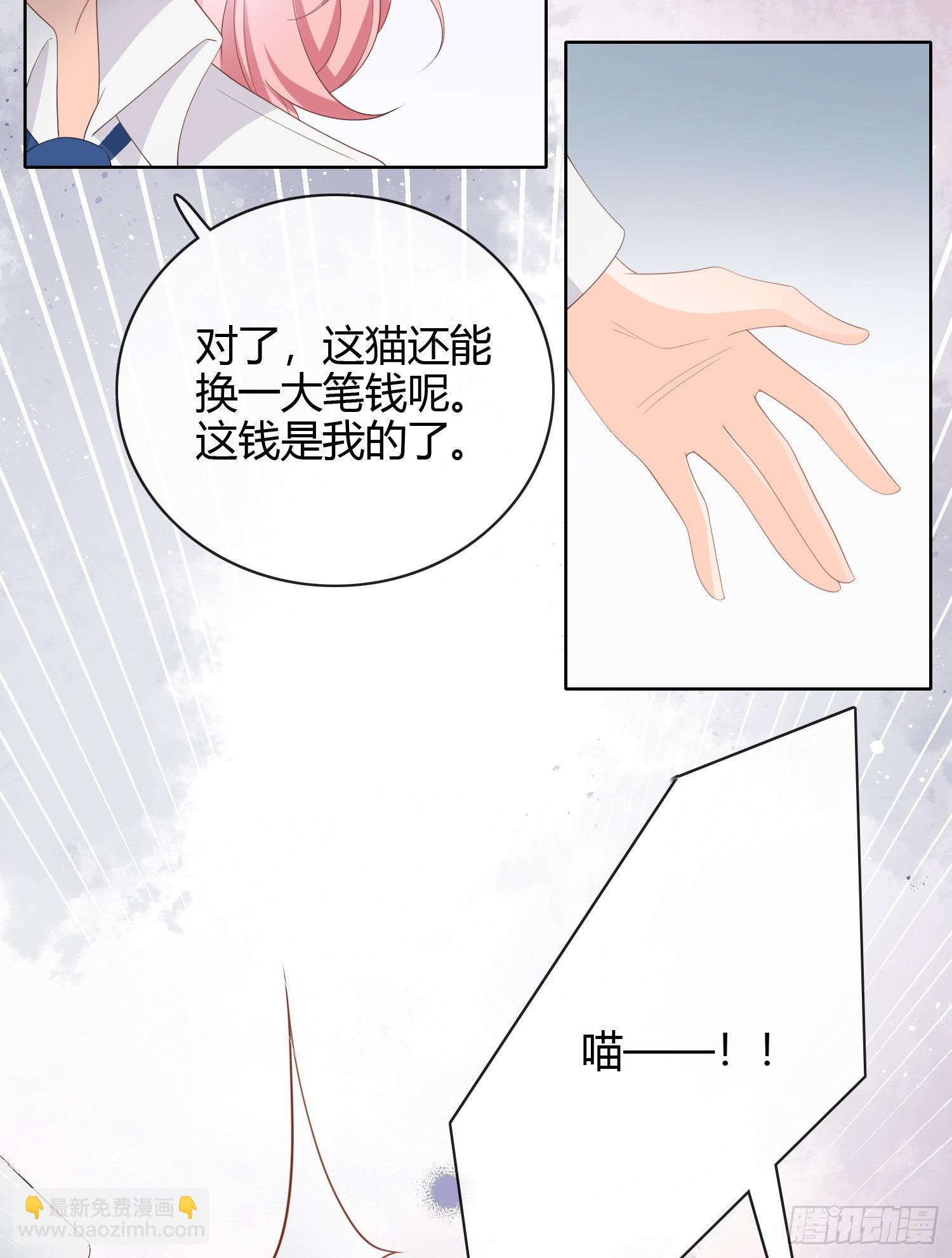 绿茶终结者11