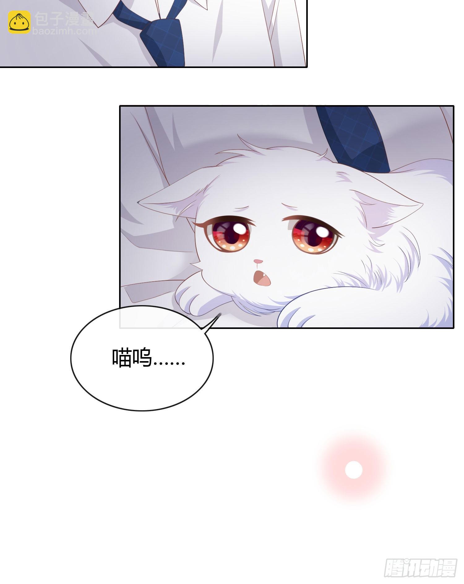 绿茶终结者22
