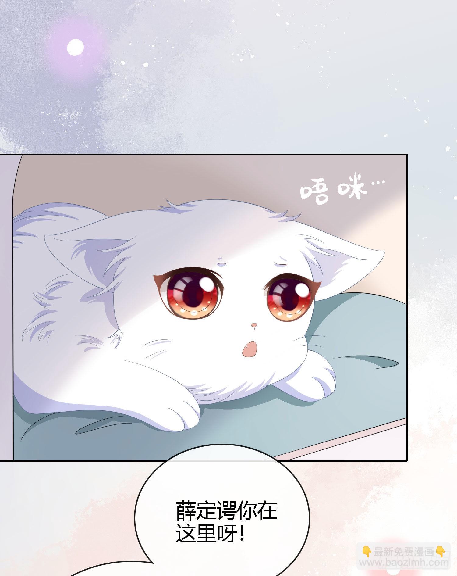 绿茶终结者33