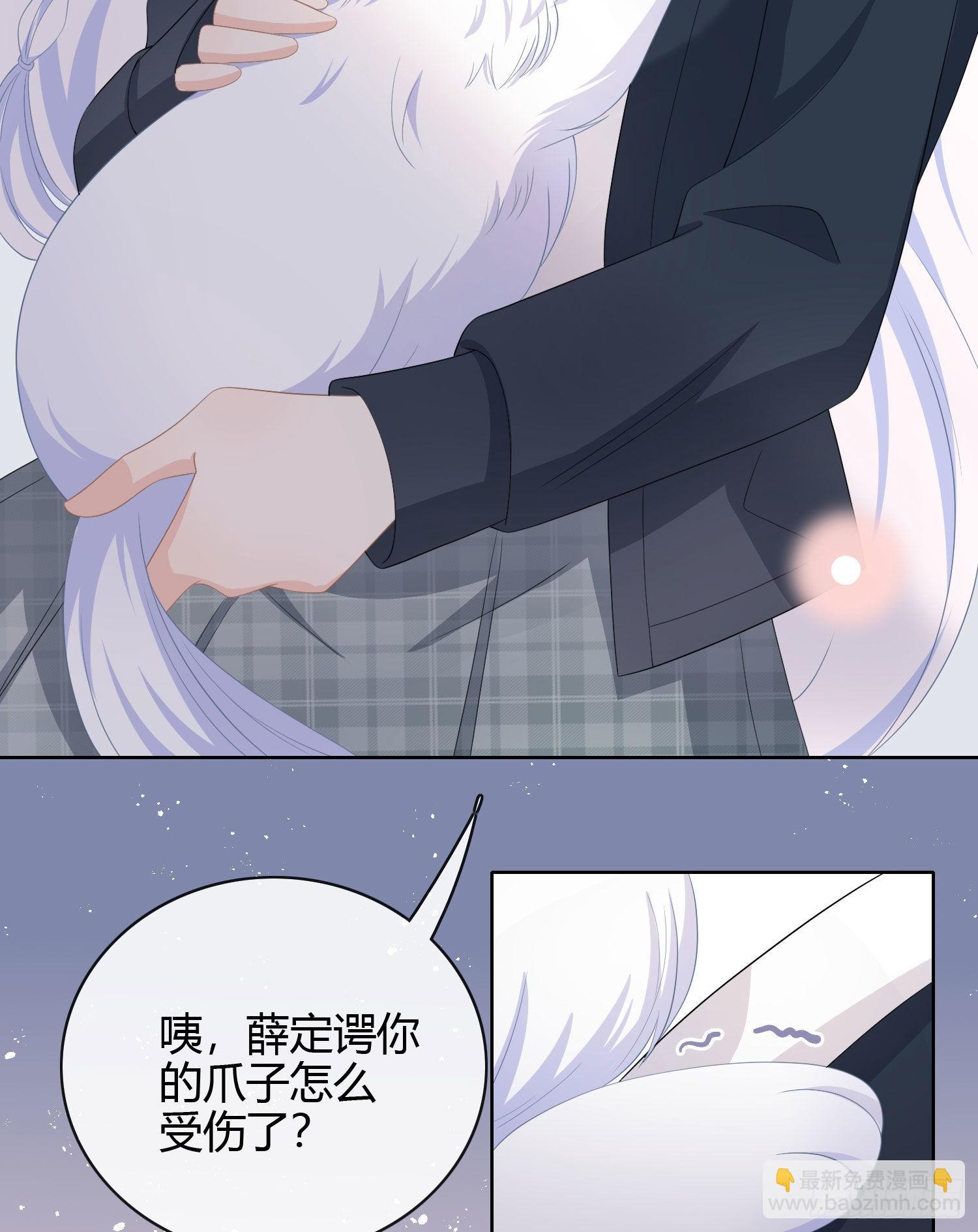 绿茶终结者35
