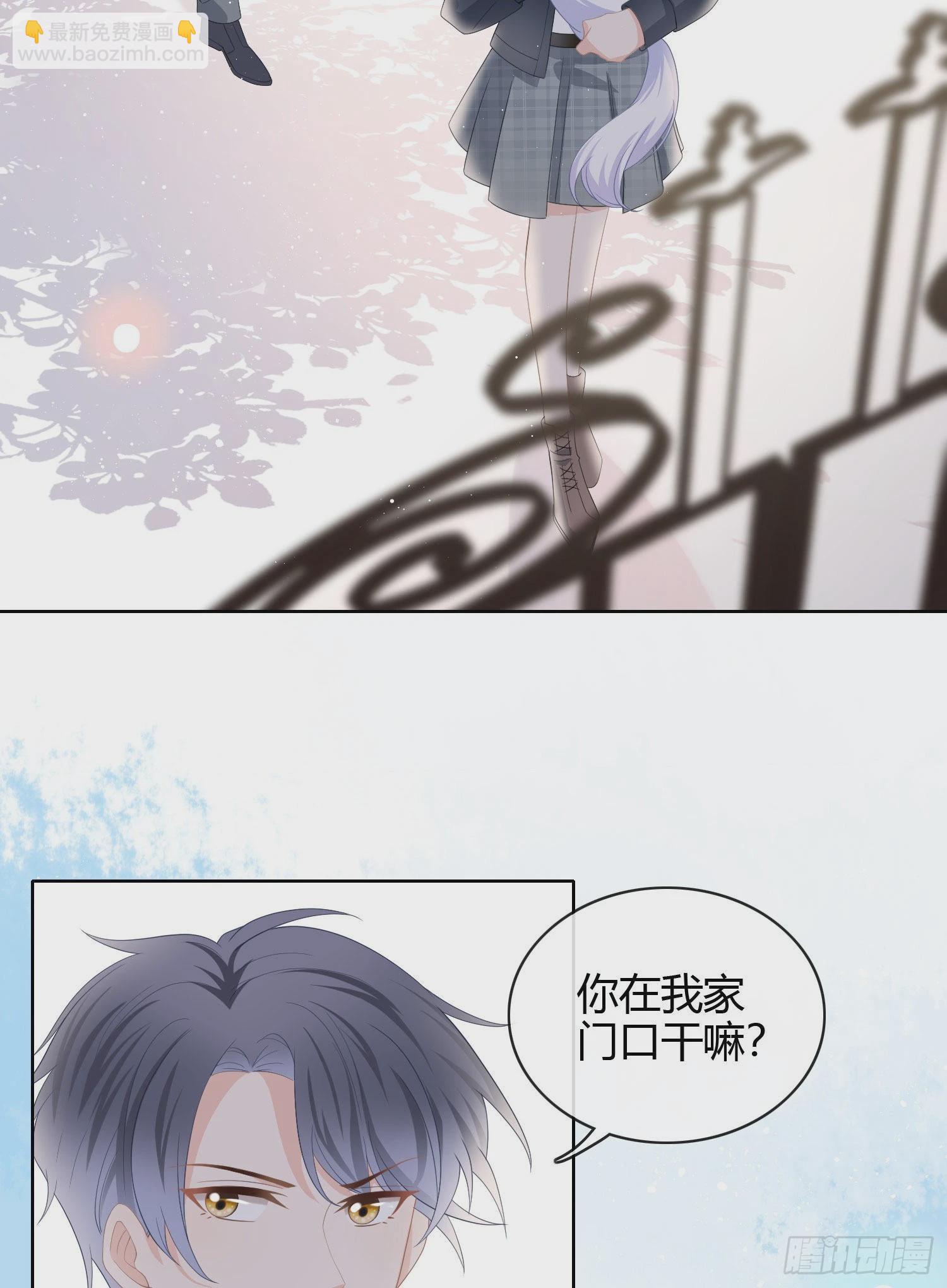 绿茶终结者40