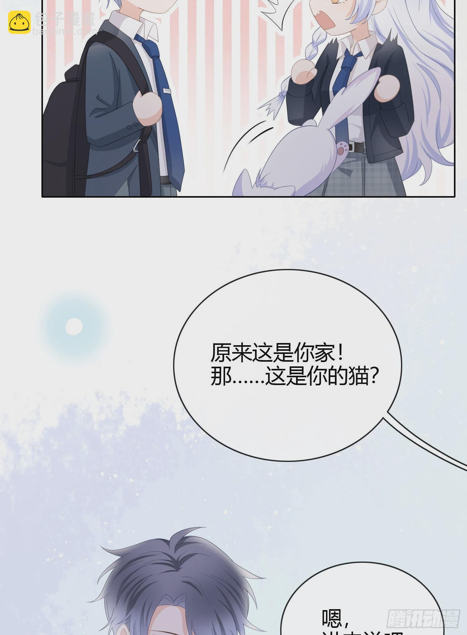 绿茶终结者42