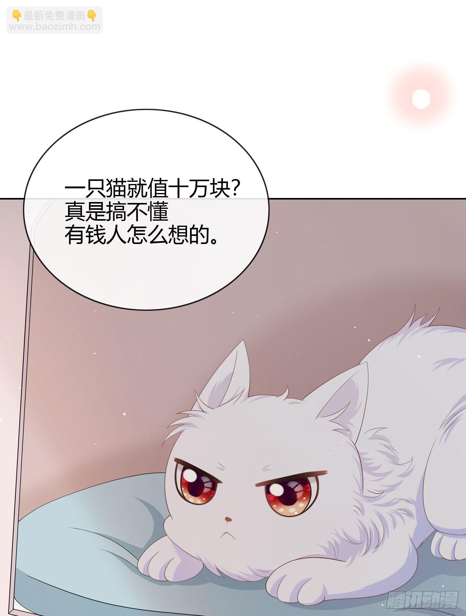 绿茶终结者9