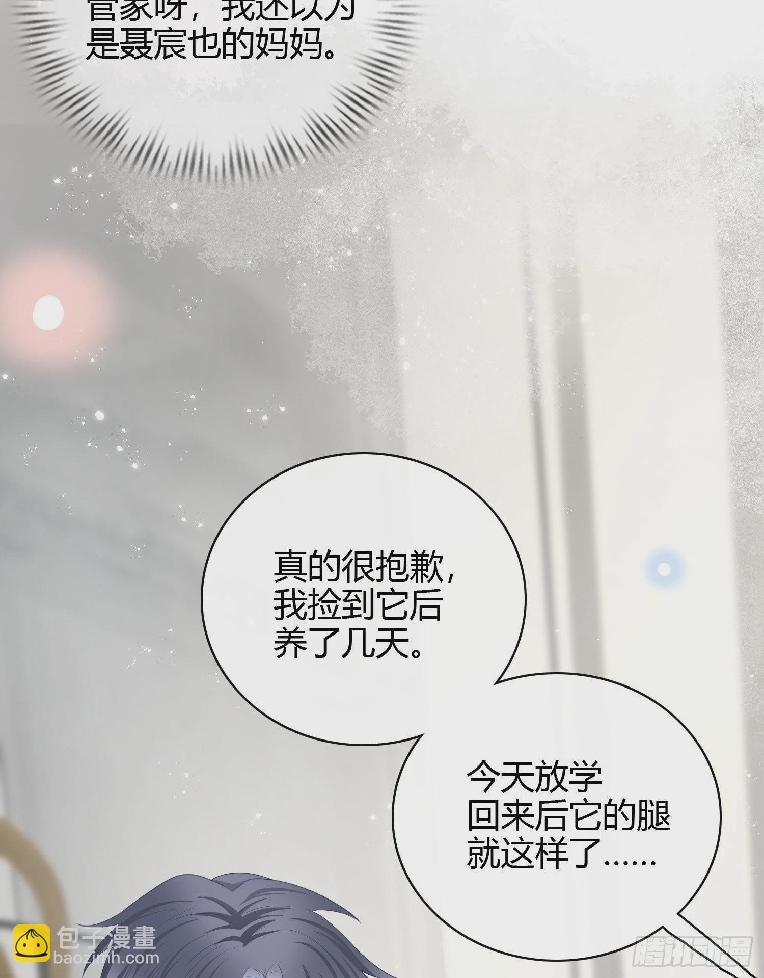 幸福来得太突然了11