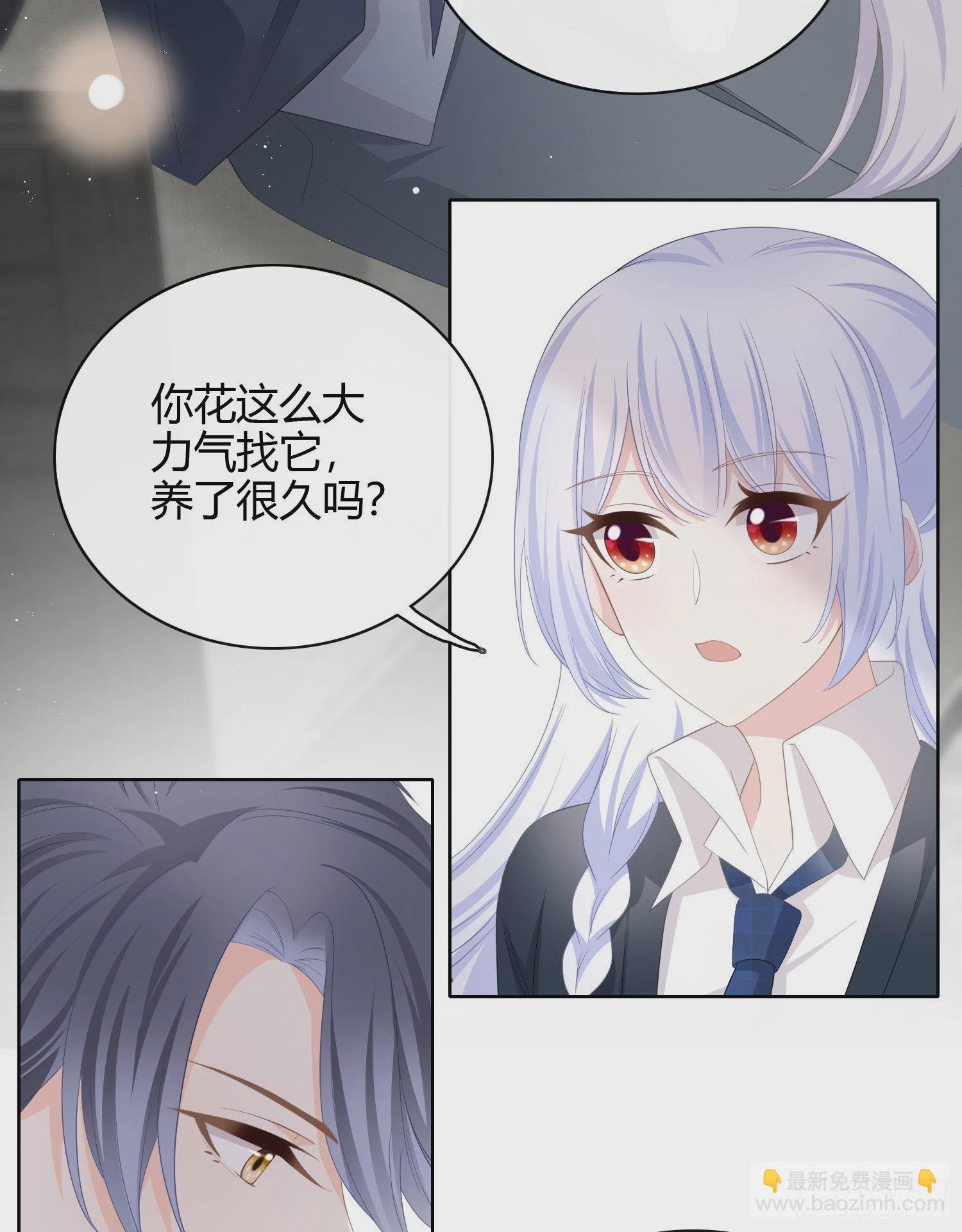 幸福来得太突然了13