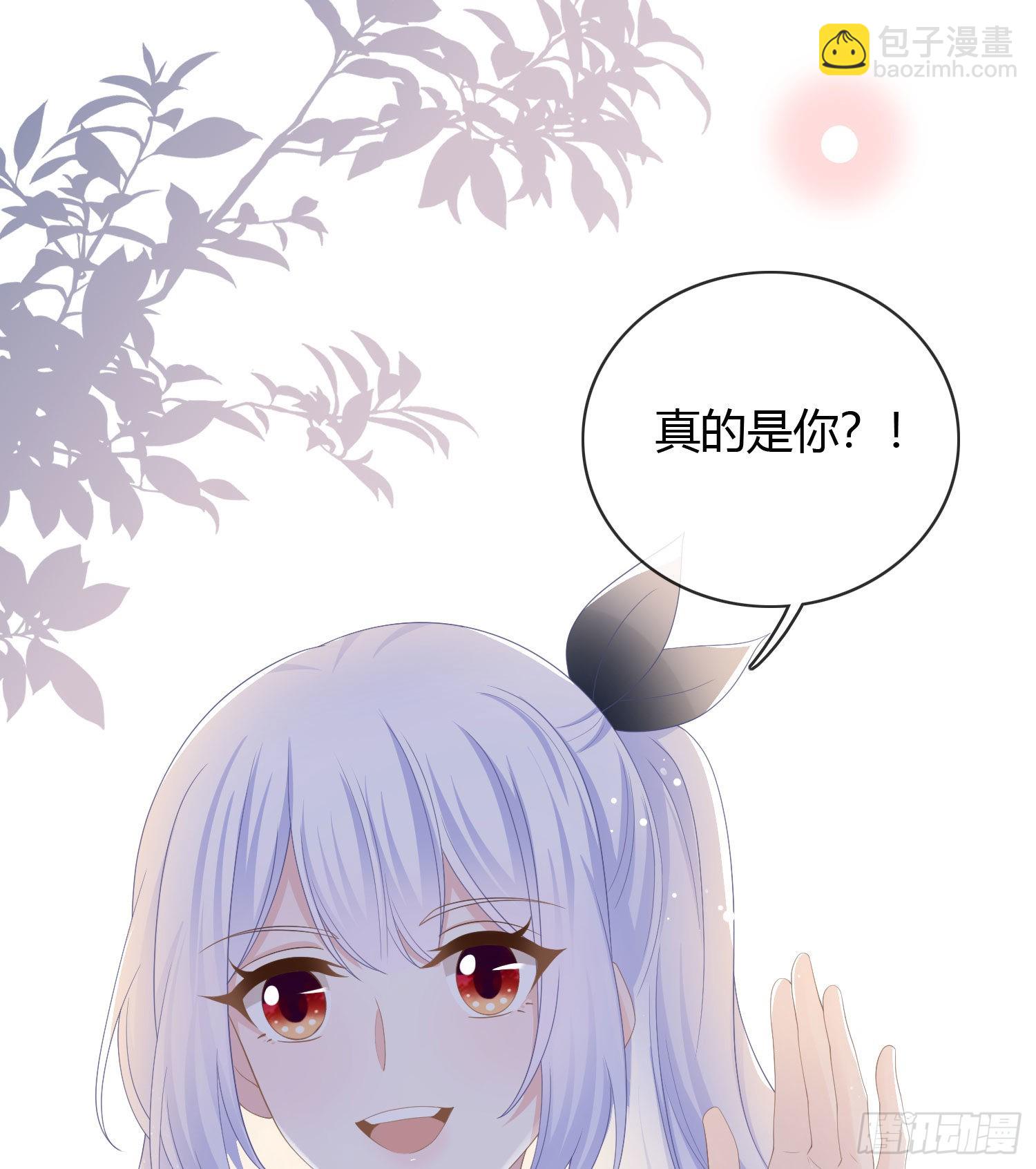 一杯就倒的聂宸也38