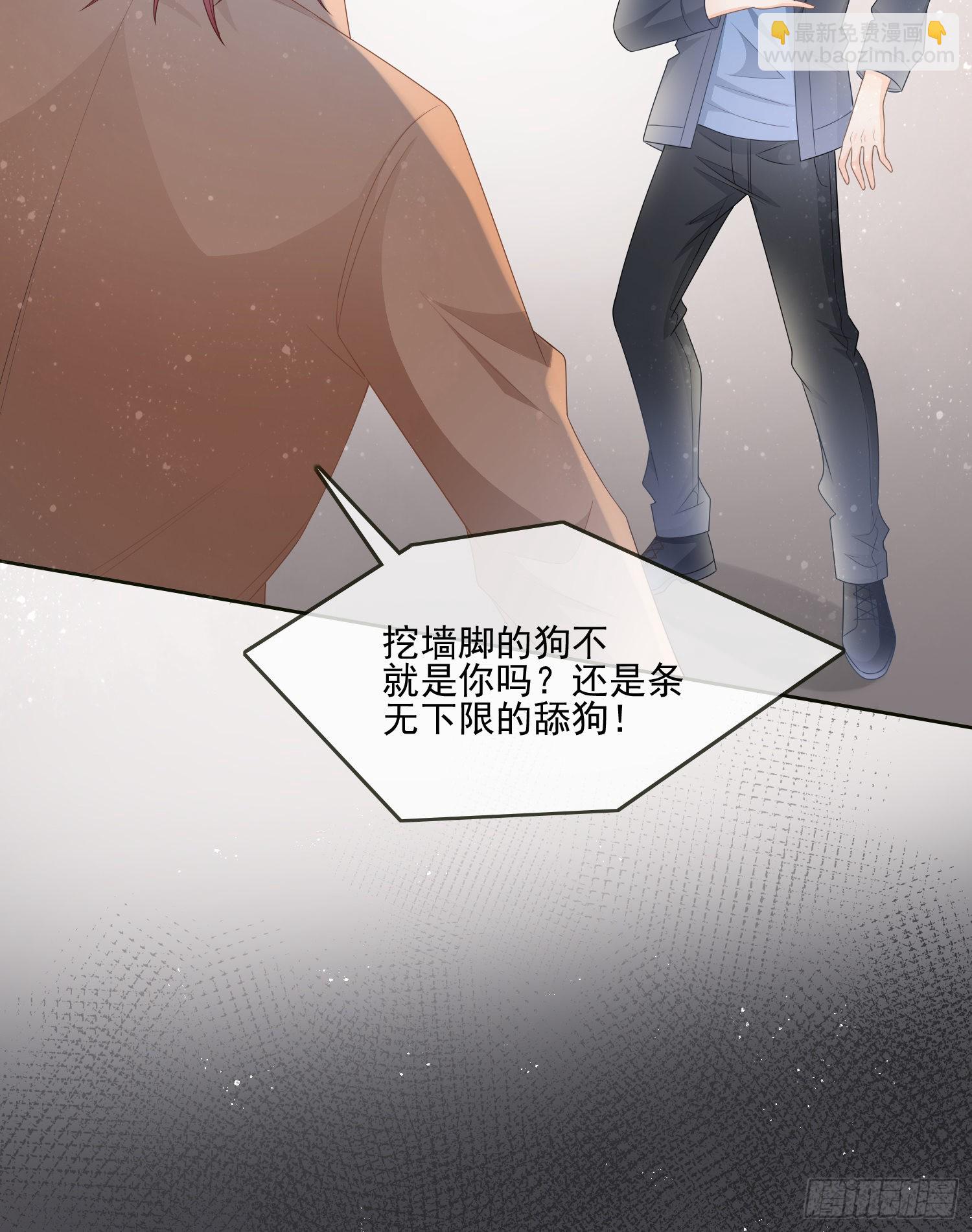挖墙脚的狗10
