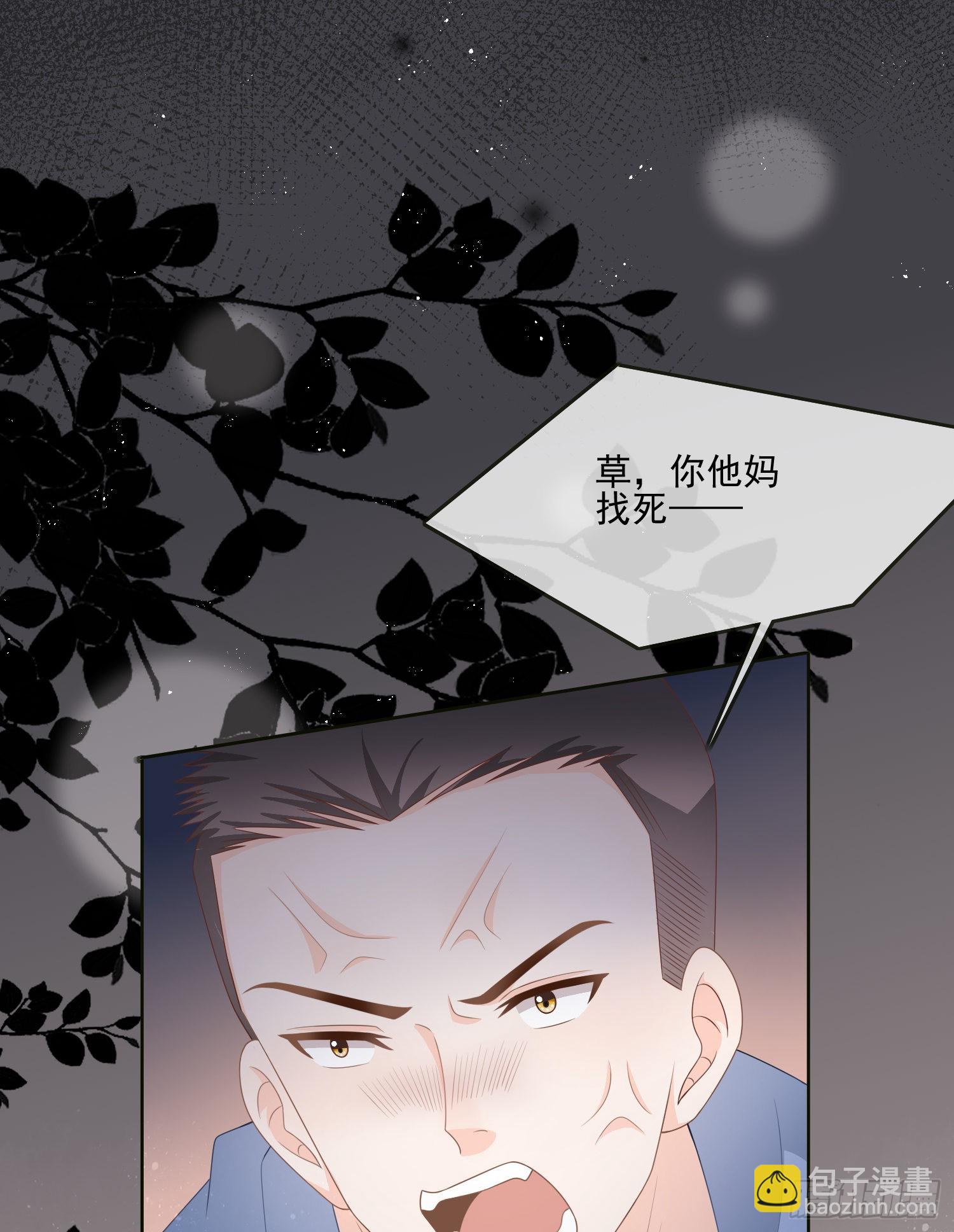 挖墙脚的狗11