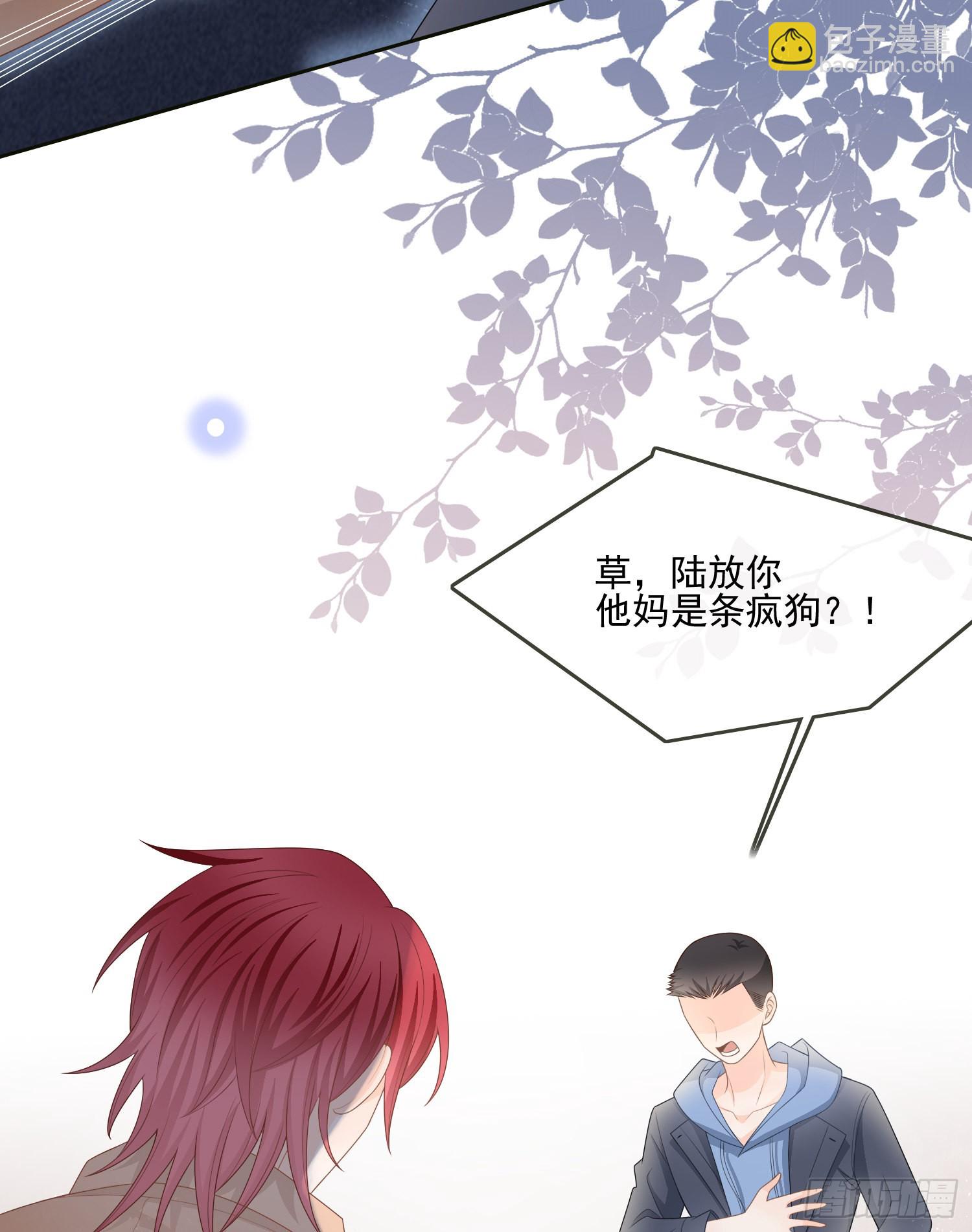 挖墙脚的狗9