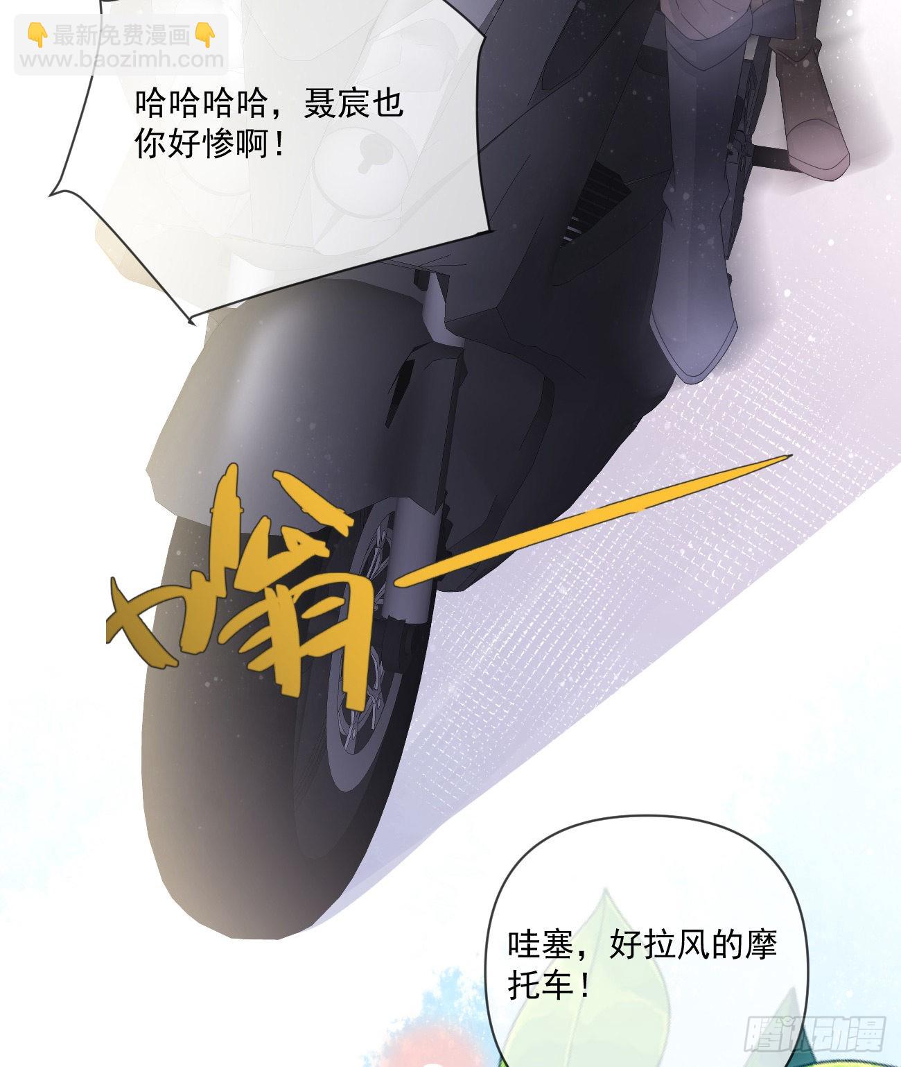 狗吃巧克力会死的13