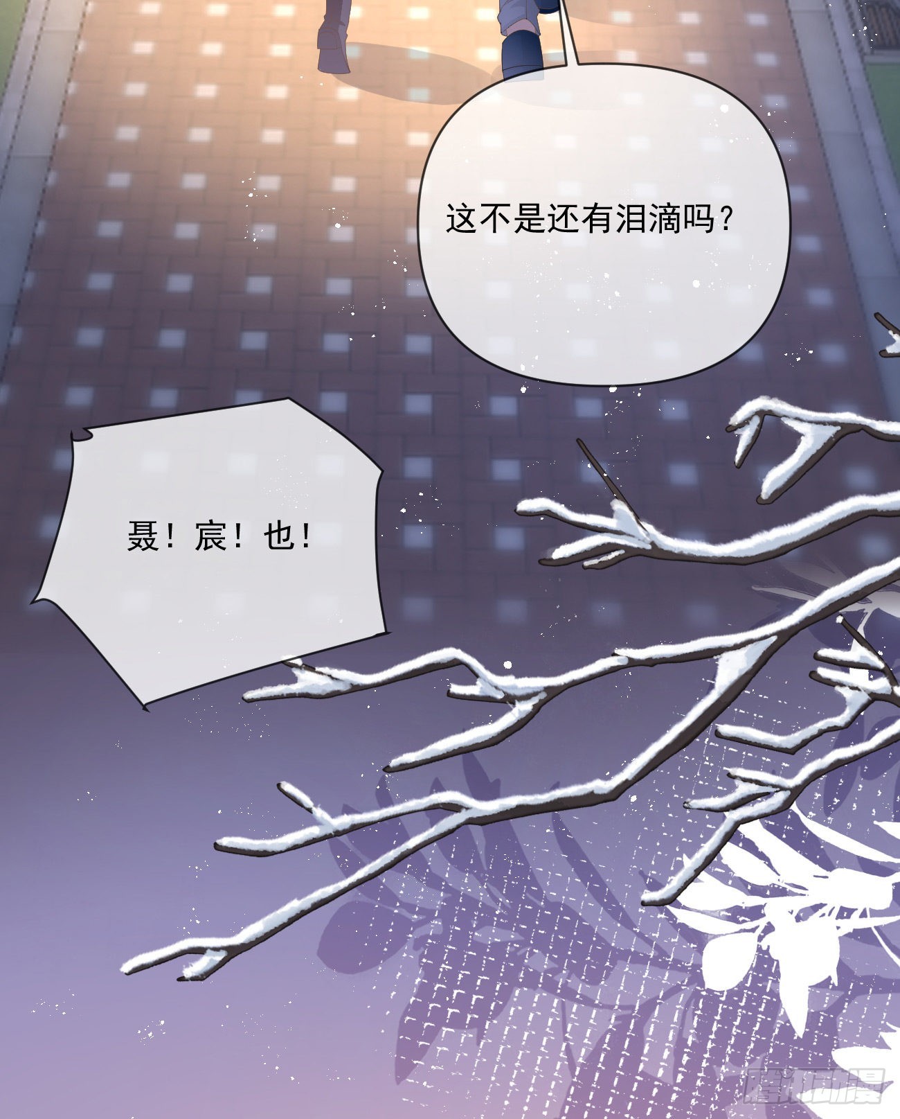 狗吃巧克力会死的54