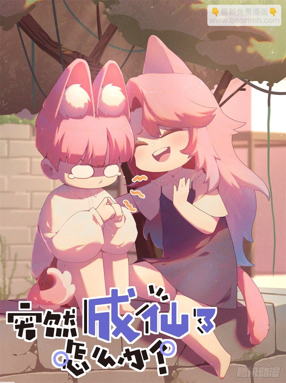 068 菌菇盛宴1