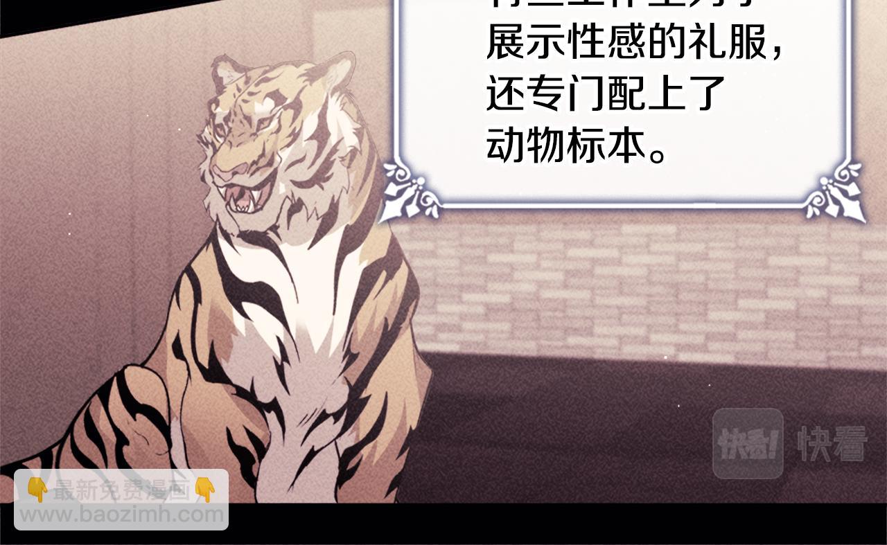 第115话 最华丽的时装秀27