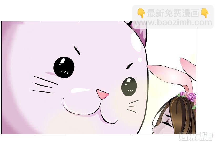 第51集 难忘的时光8