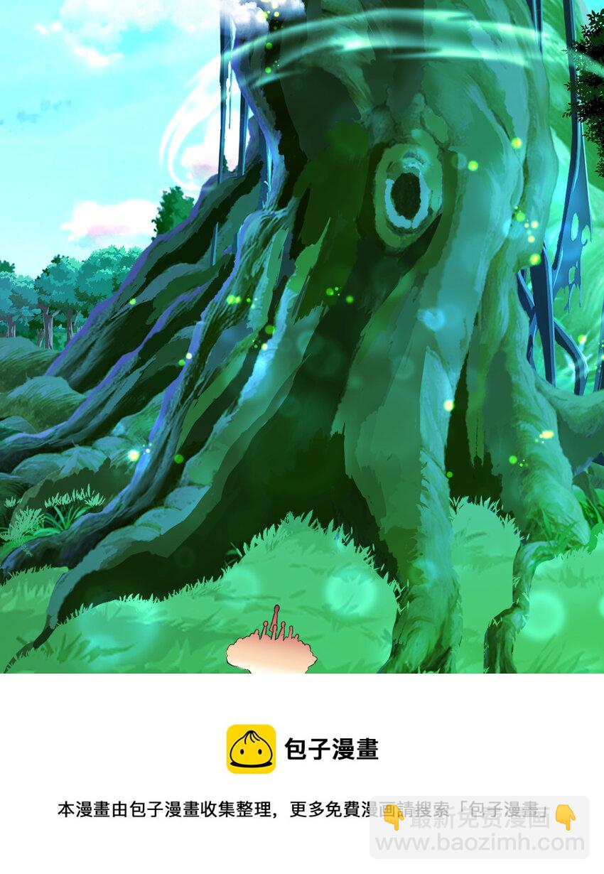 72回 神之树53