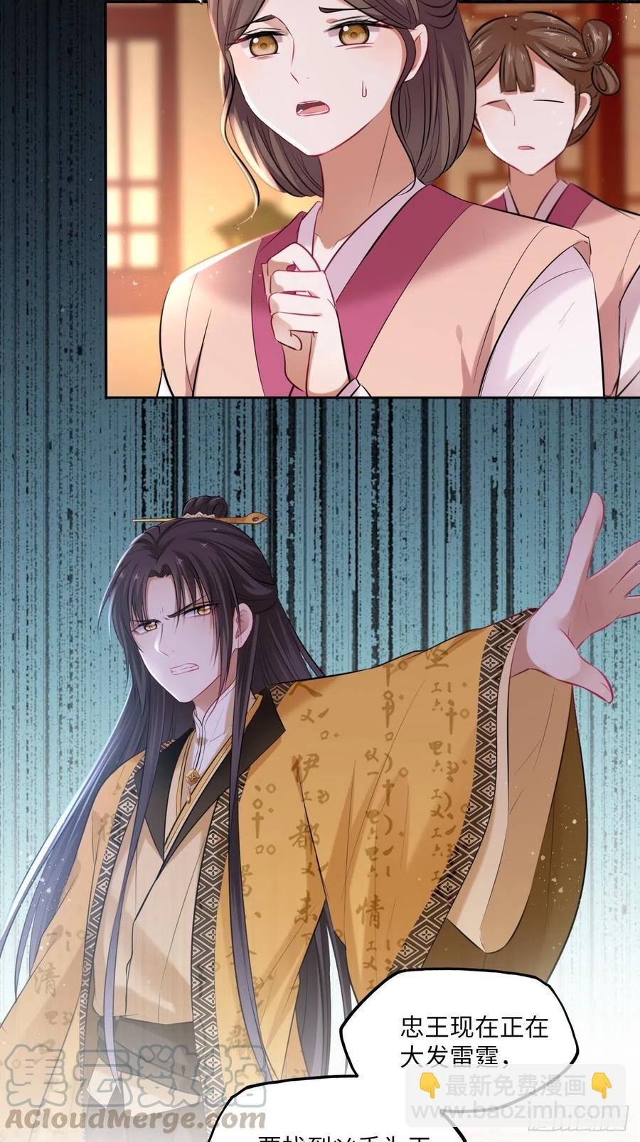 第102话：“忠王妃没了！”28