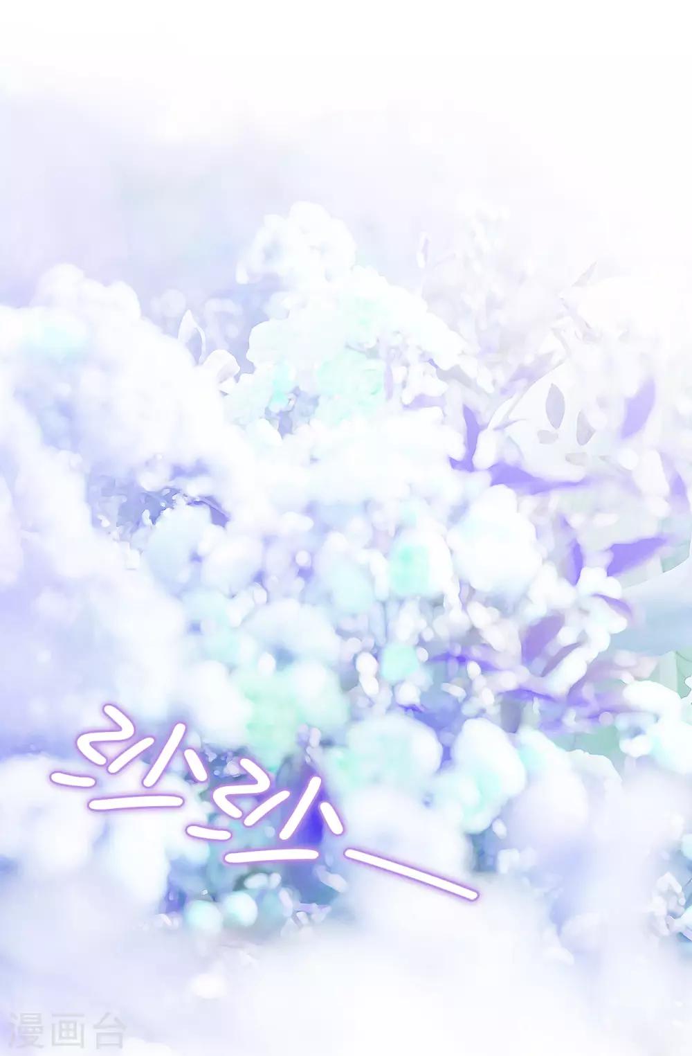 第37话 好美的花海10