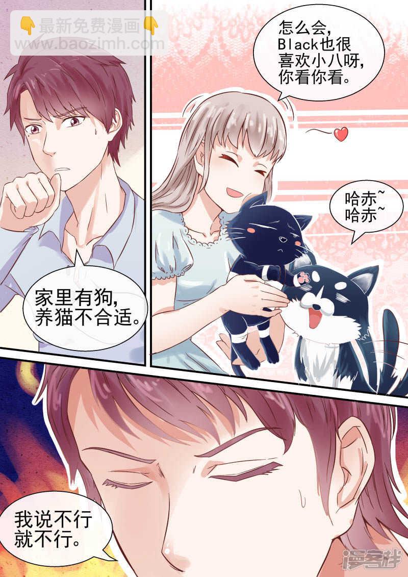 第47话 宠物不能超过俩7