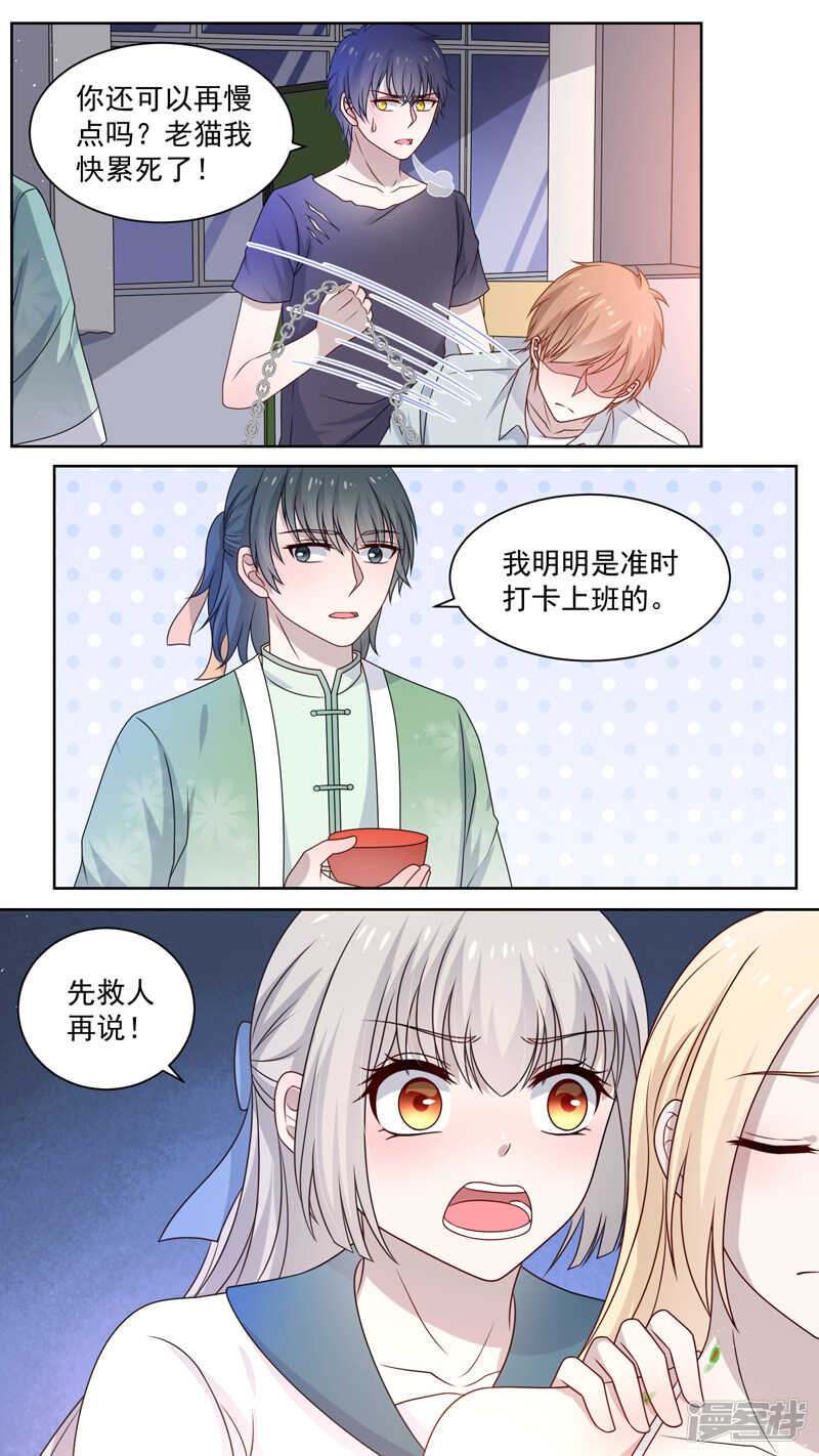 117一只行尸4
